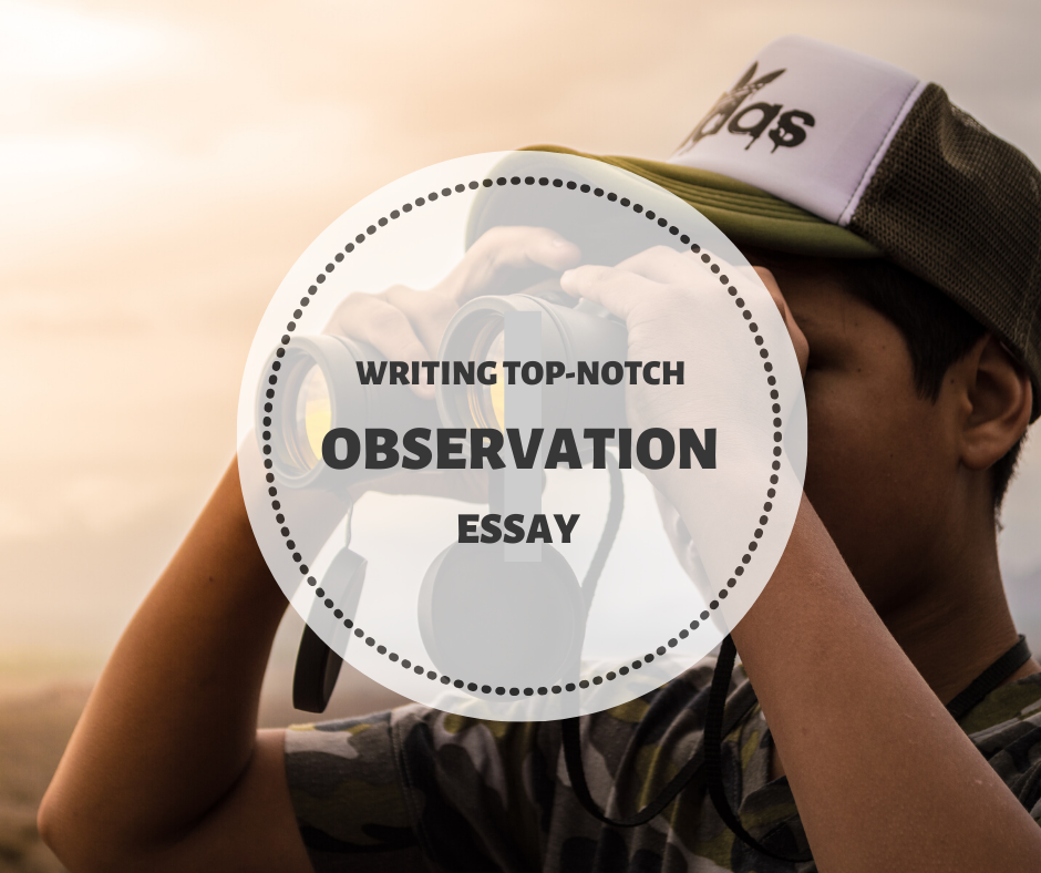 Observation Essay