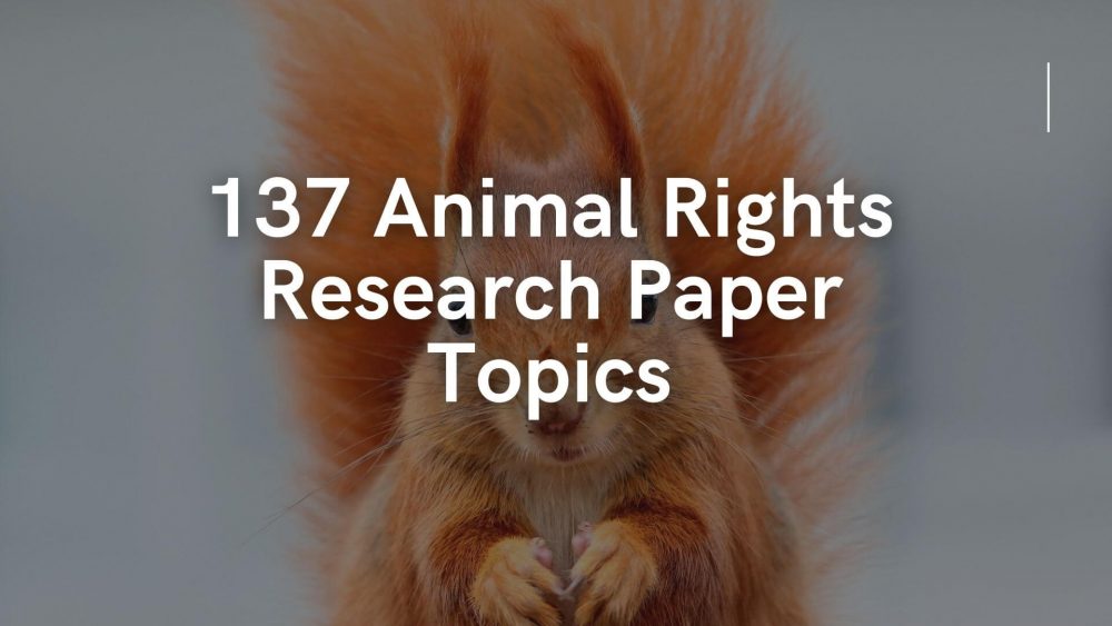 Animal Rights Research Paper Topics